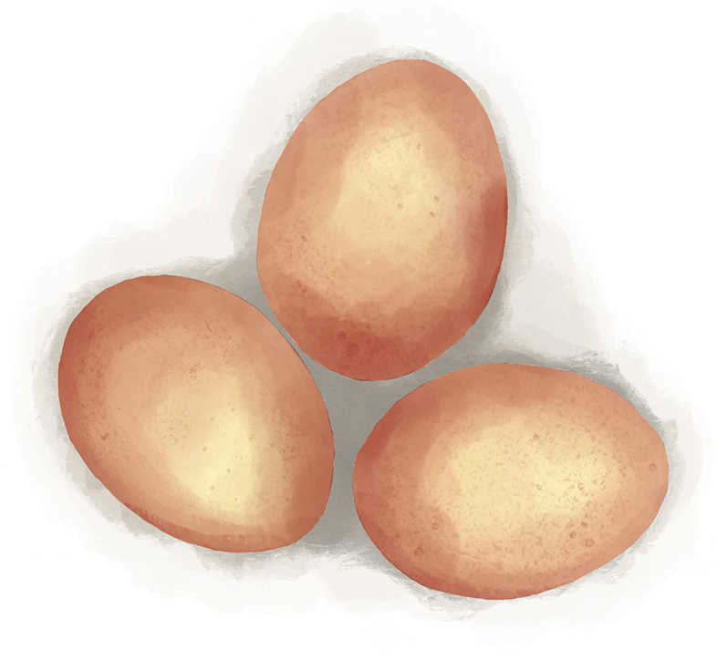 eggs_LR.png